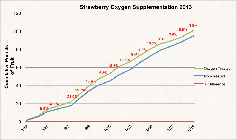 Strawberry Graph
