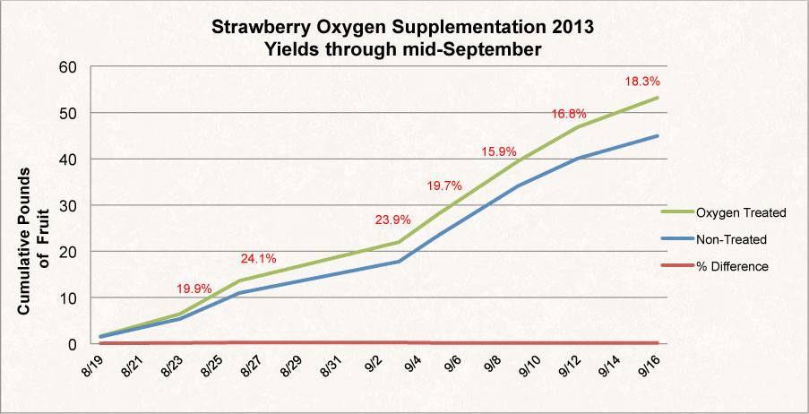 2013 Strawberry Graph